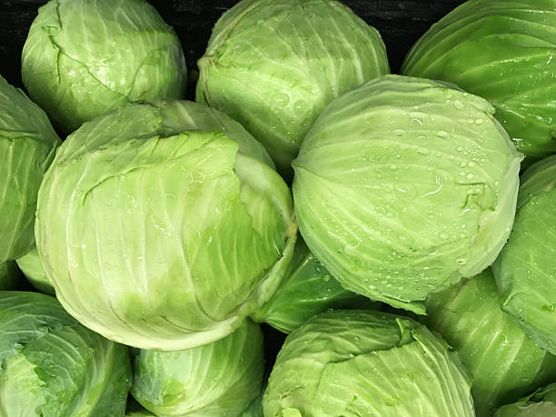 Several heads of cabbage.